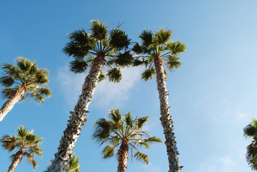 Ironwood Villas for Families in MongmongTotoMaite Ironwood Property